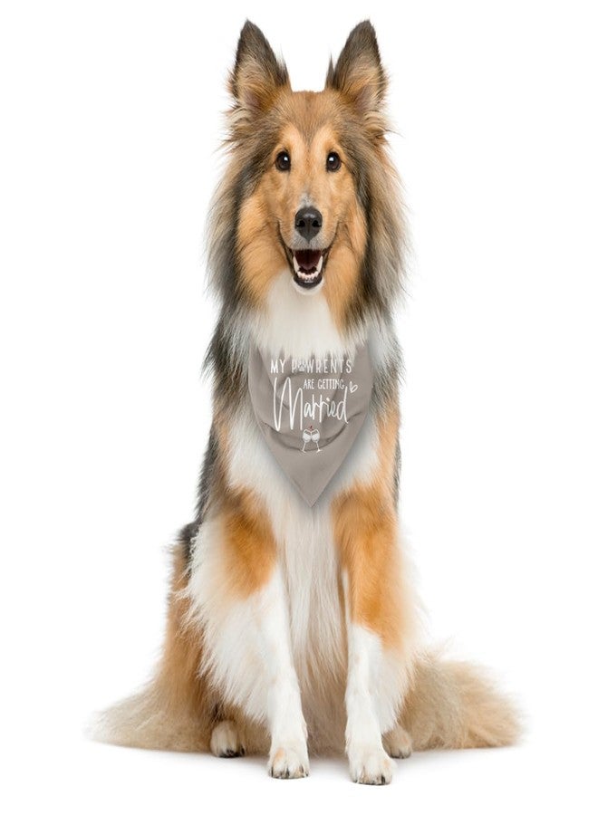 ZPPRJF My Parents are Getting Married Dog Bandana, Dog Wedding Bandanas, Gray Dogs Bandana, Pet Engagement Triangle Scarf, Gift for Dogs Lover - Image 3